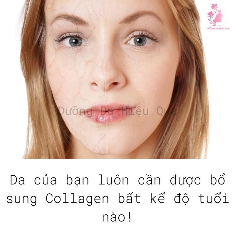 Serum phục hồi da, tái tạo da và trẻ hóa da- Collagen Ampoule Esthemax