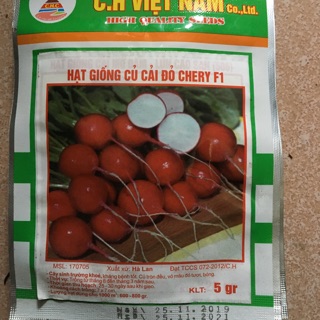 HẠT GIỐNG CỦ CẢI ĐỎ CHERY F1