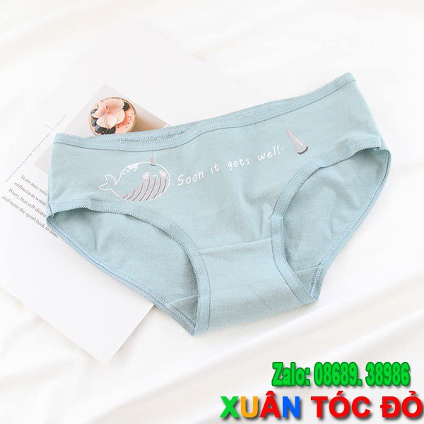 SỈ ZALO RẺ HƠN NHIỀU_ Quần Lót Sớm Thôi Gã Đó Sẽ Thích Mình 5081 | BigBuy360 - bigbuy360.vn