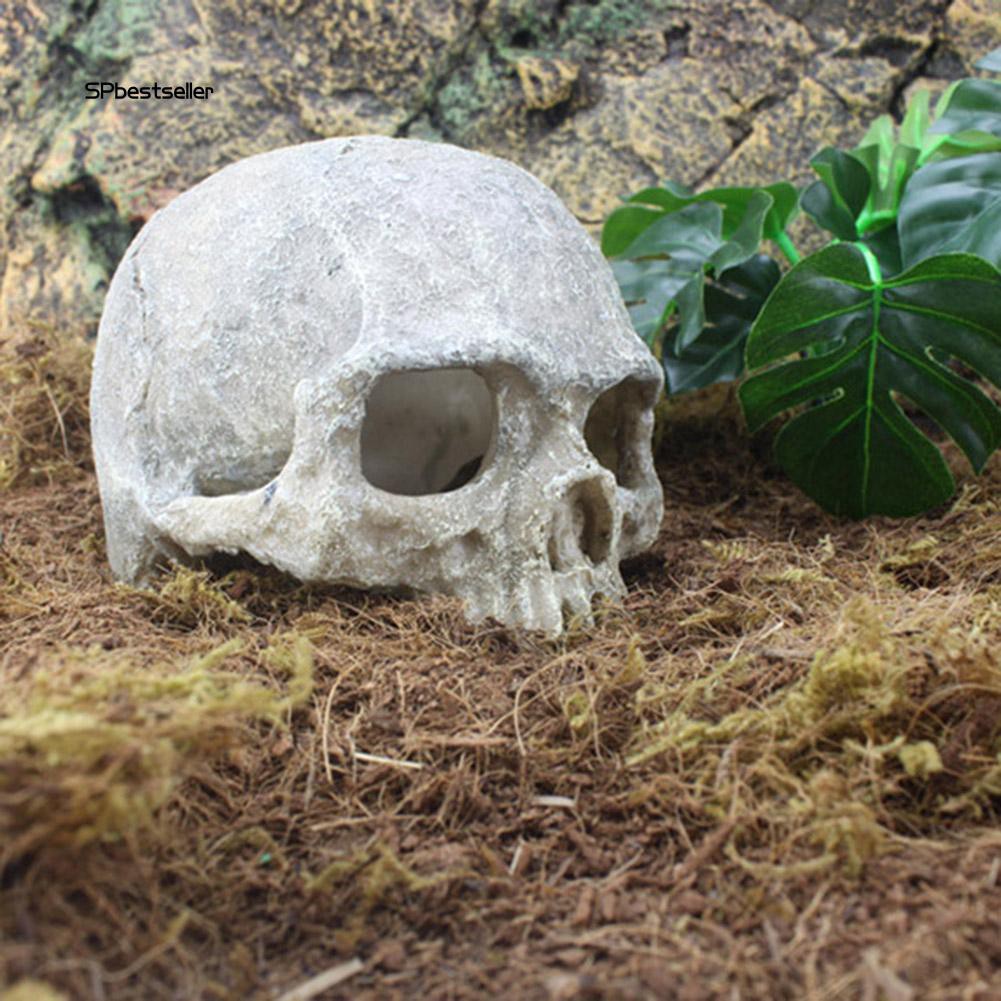 Mô hình đầu lâu bằng nhựa tạo hình trang trí bể cá độc đáo