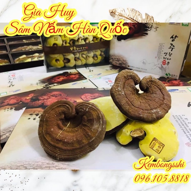 [SỈ TẬN GỐC ] Nấm Linh Chi SANGCHU Hàn Quốc (Hộp 1 kg) Quà siêu sang trọng | BigBuy360 - bigbuy360.vn