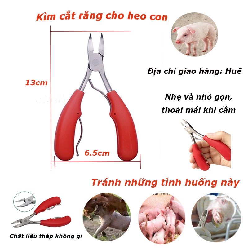Rẻ🎉Kìm cắt nanh cho cắt răng lợn, kìm cắt móng bấm răng heo thép chất lượng thực dụng