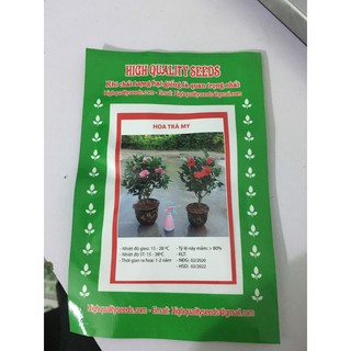 Combo 2 Gói Hạt Giống Hoa Trà Mi