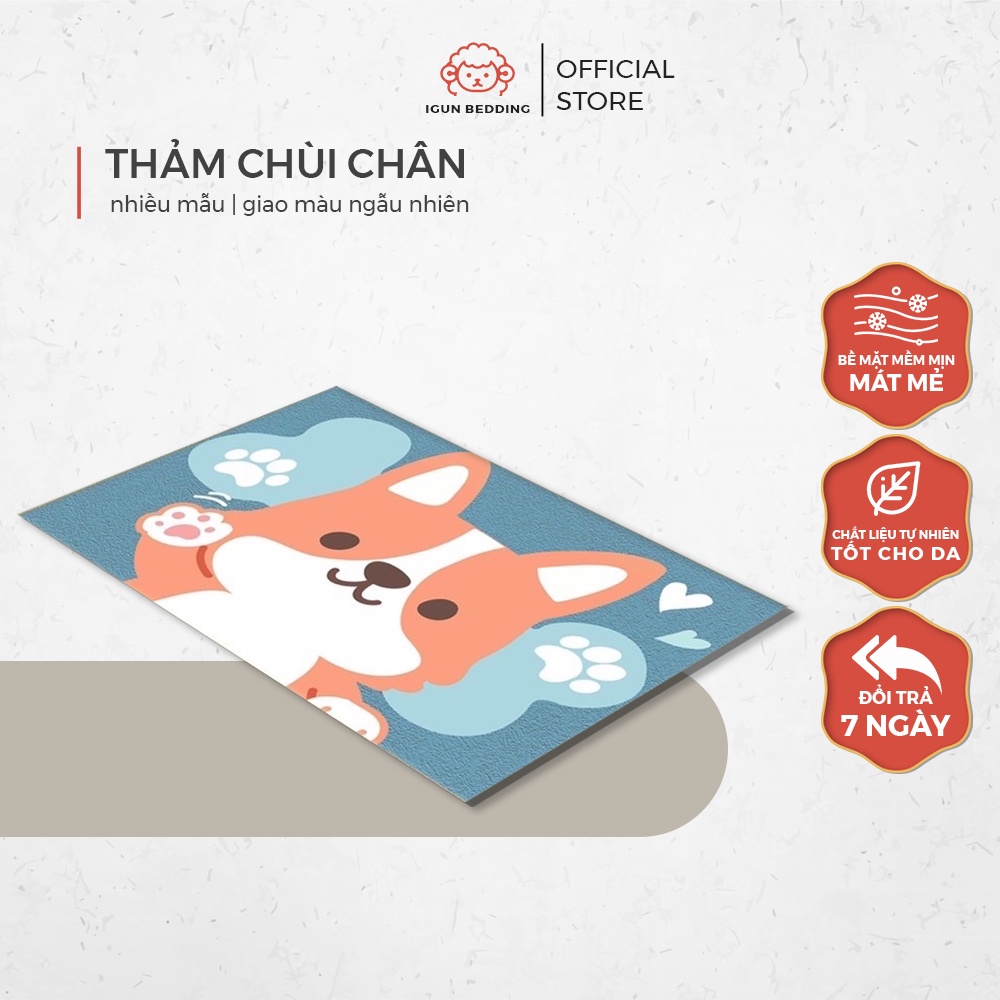 Thảm chùi chân vuông IGUN BEDDING giao màu ngẫu nhiên