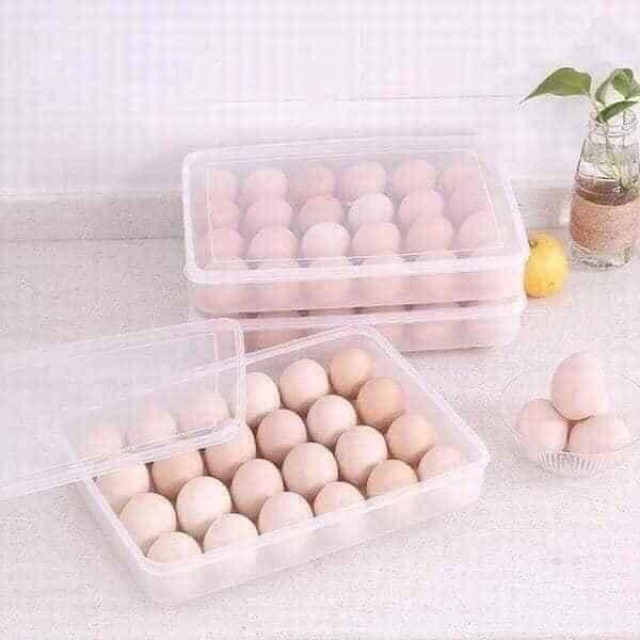 Hộp đựng trứng 24 quả SONGLONG
