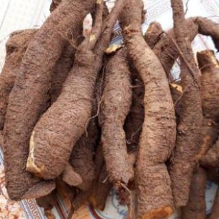 Củ gai an thai 1kg