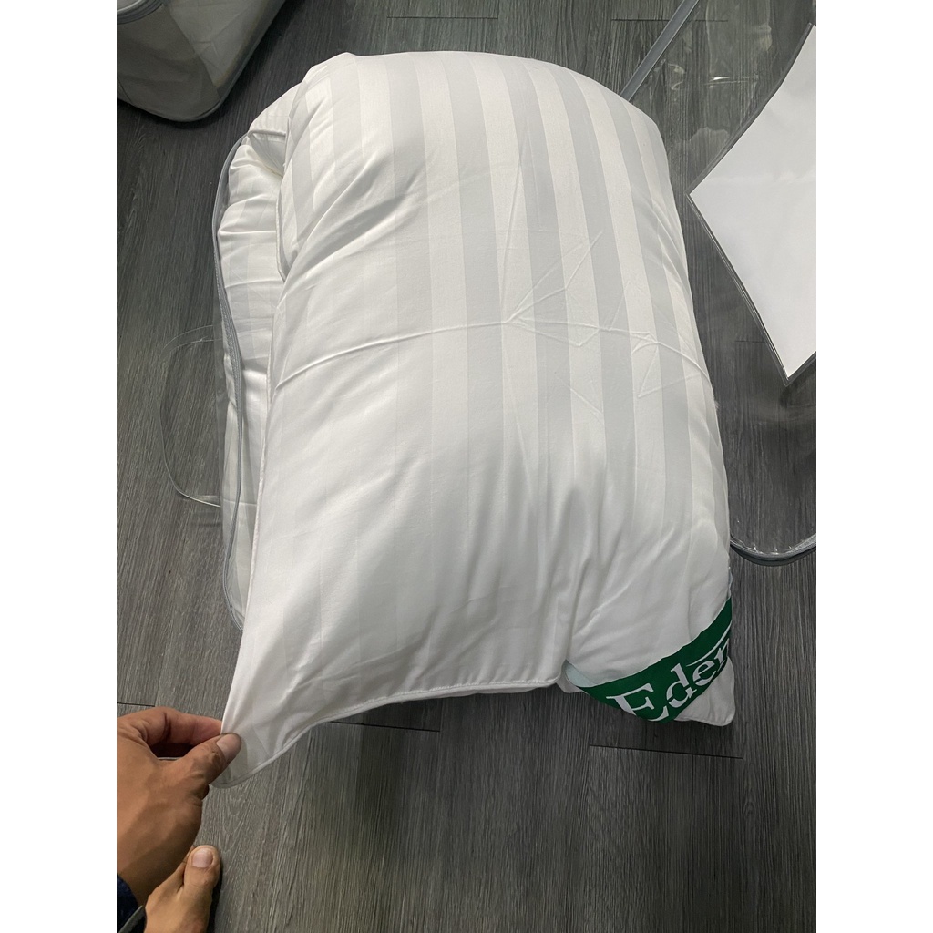 Ruột Gối Đôi Tơ Tằm 45x140cm Edena - Cao Cấp, Mềm Mại, Chính Hãng in Maybedding