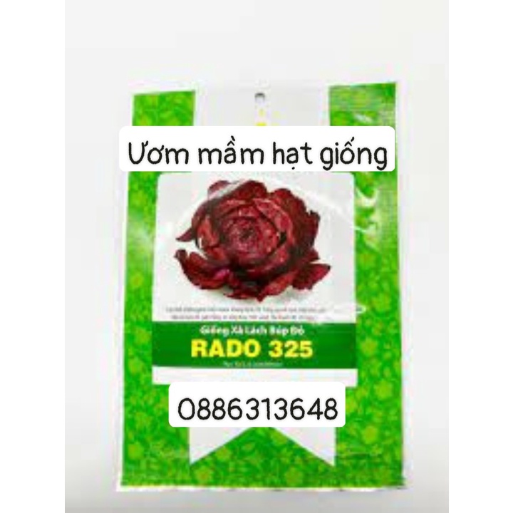 Xà lách búp đỏ Rado 325