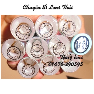Sỉ 20cặp sakura gray 40k