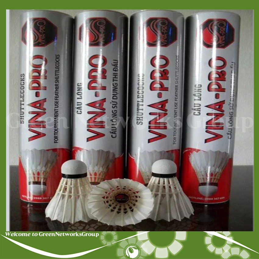 CẦU LÔNG VINA PRO