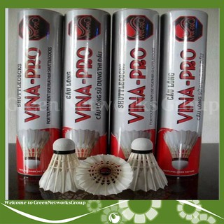 CẦU LÔNG VINA PRO