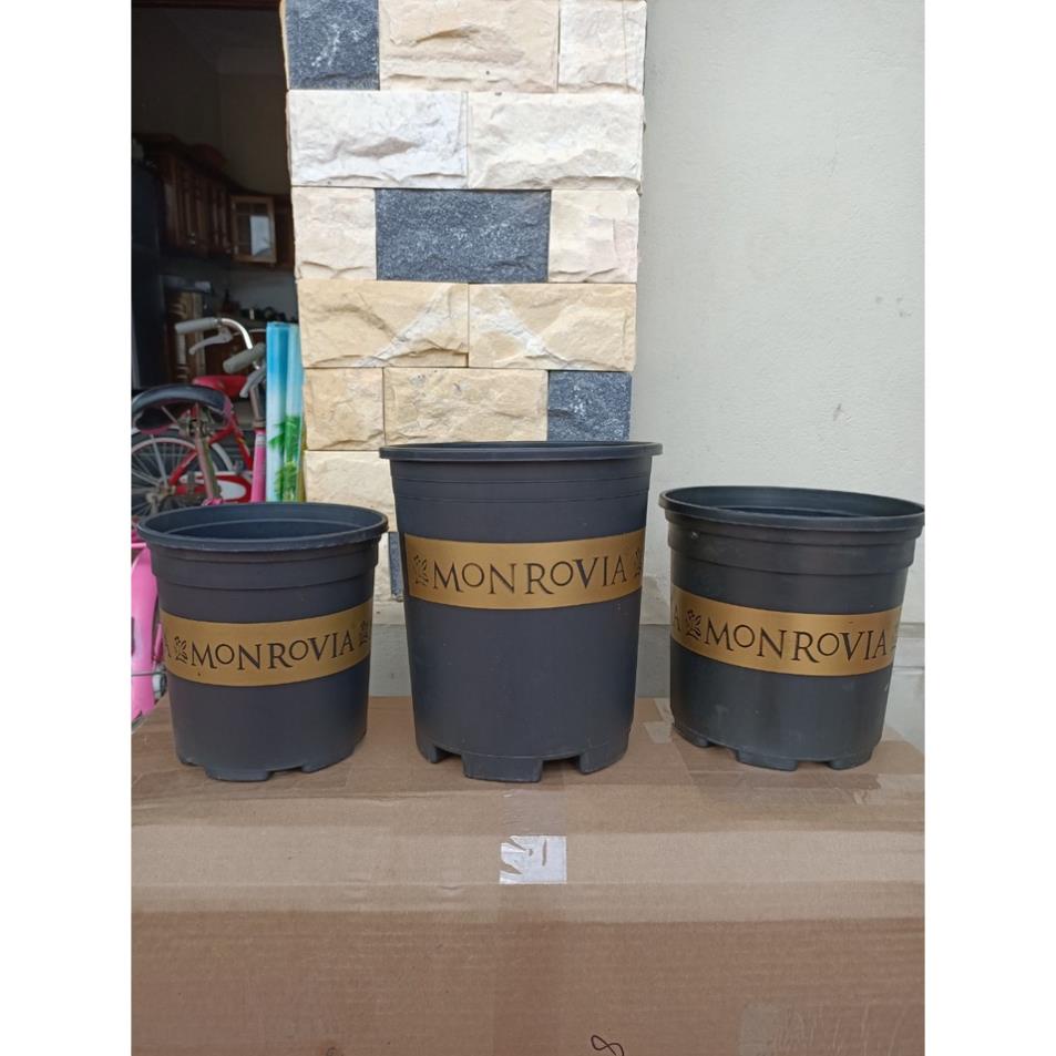 Combo 3 chậu nhựa trồng cây phong cách VINTAGE   màu đen