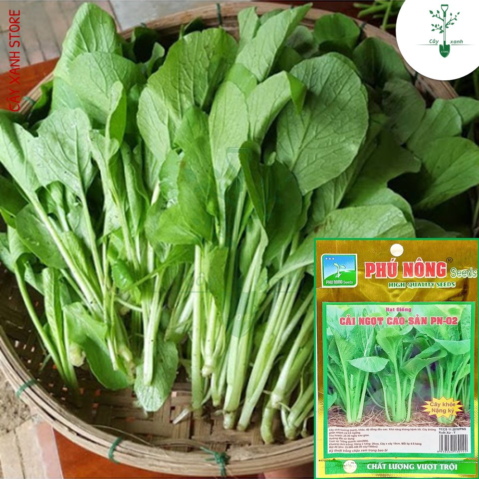 Hạt Giống Rau Cải Ngọt Giòn Ngọt, Năng Suất Cao - Phú Nông Seeds - Key: Đất sạch, Phân Bón, Hữu Cơ, Xơ Dừa