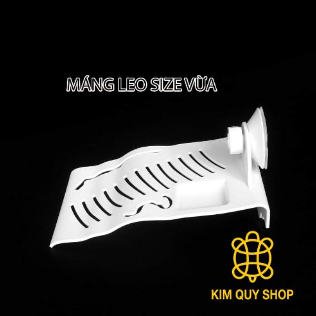 Máng leo size vừa Nomoypet