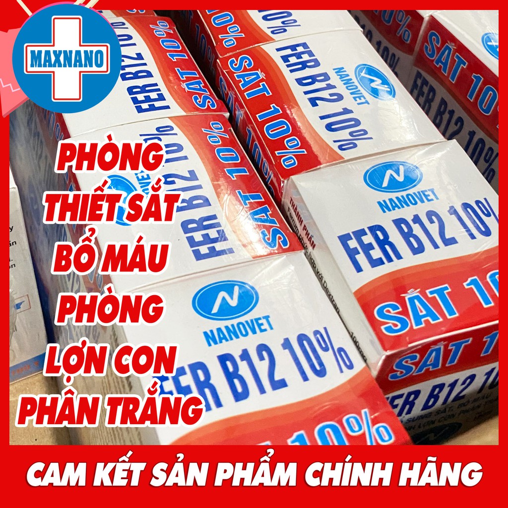 Hộp chai Sắt 10% 100ml-NANOVET Bổ máu, bổ sung sắt, phòng thiếu máu do thiếu sắt, hồi phục thú bệnh