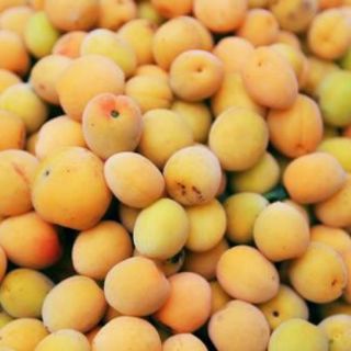 Mơ rừng chẻ sấy dẻo 500gr /65k