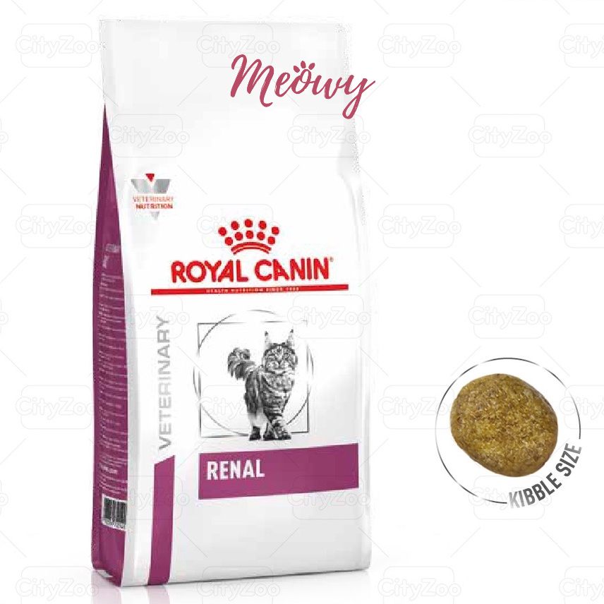 [1.5kg] hạt Royal Canin Urinary S/O mèo - hạt Renal cho mèo