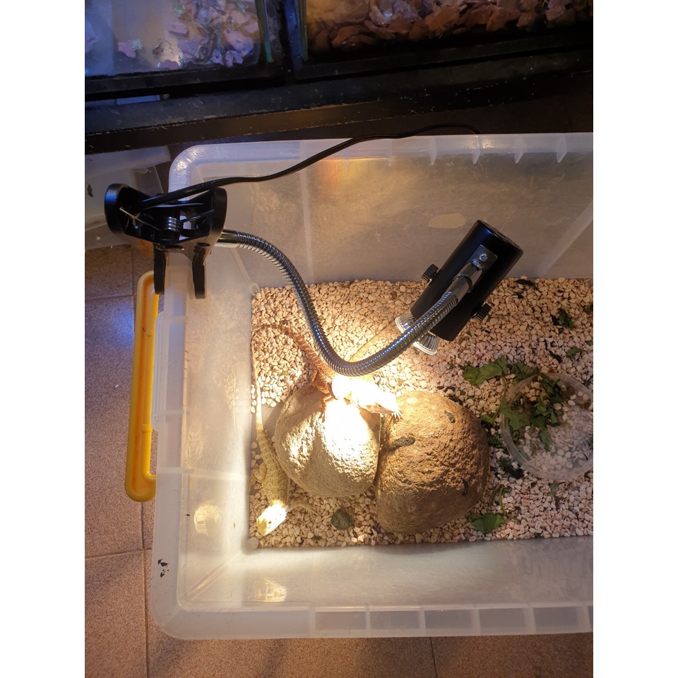 Kẹp đèn dài cho bóng đèn bò sát - Đui sứ chịu nhiệt quay 360 độ - Vietpetgarden