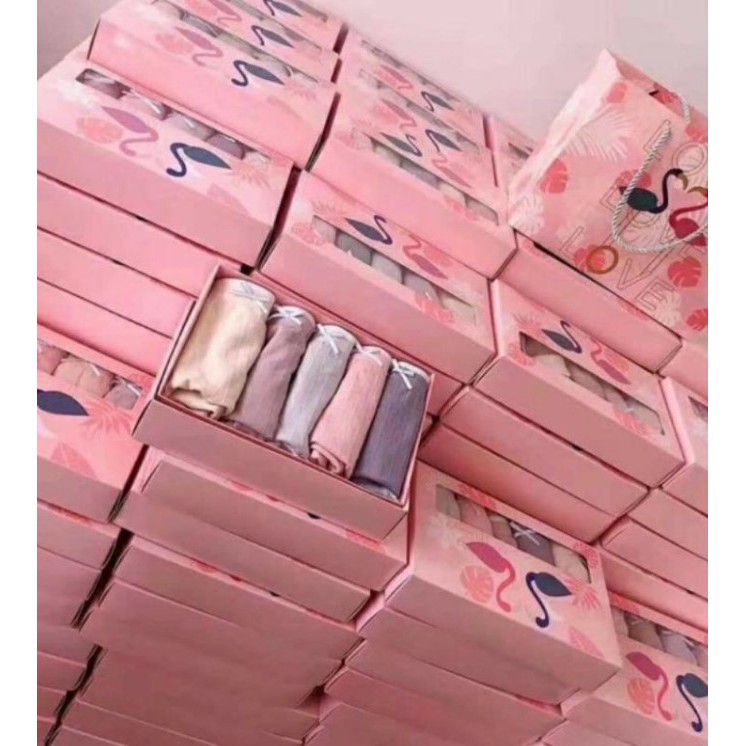 Hộp 5 quần chip cotton hạc
