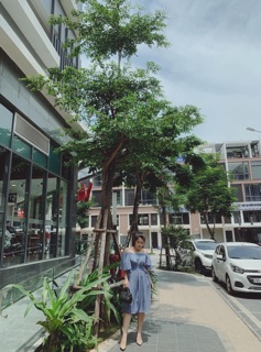 Váy voan bẹt vai bigsize