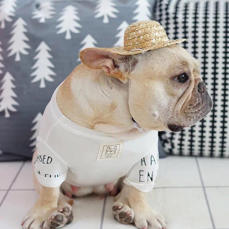 NÓN CÓI MŨ RƠM CÓ KÈM CHONG CHÓNG ĐỘI ĐẦU CUTE CHO CÚN MIU