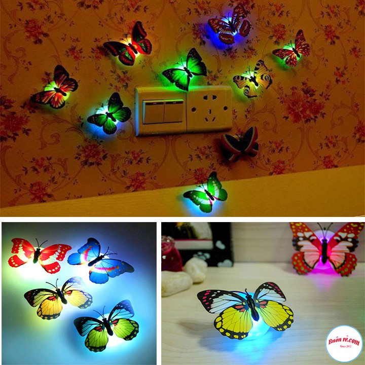 Mô Hình Bươm Bướm Tích Hợp Đèn LED Trang Trí Không Gian Độc Đáo Hot hit - br00597 | BigBuy360 - bigbuy360.vn