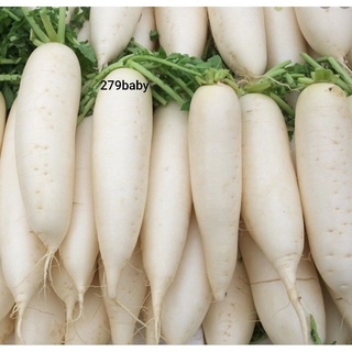 1kg củ cải trắng tươi [ chỉ giao TPHCM]