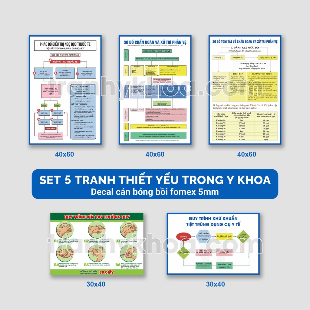 Set tranh y khoa: Sơ đồ phản vệ, Phác đồ xử trí ngộ độc tê, Quy trình rửa tay, Quy trình khử khuẩn- tiệt trùng dụng cụ