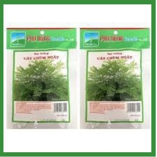 Hạt Giống Rau Chùm Ngây ( 1g)  Phú Nông CHẤT LƯỢNG CAO