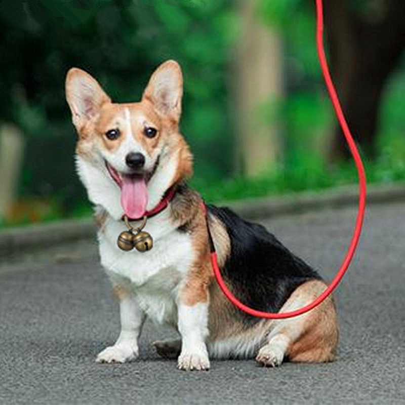 Chuông Đeo Cổ Theo Dõi Âm Thanh Bằng Đồng Thau Cho Thú Cưng