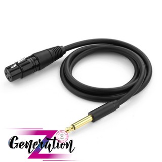 Dây cáp microphone 6.5mm dài 2m ugreen 20719 - cáp chuyển đổi từ 6.5mm to av cannon âm dài 2m ugreen 20719