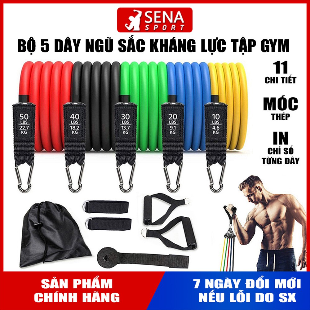 Bộ 5 Dây Ngũ Sắc Kháng Lực Tập Gym - Móc thép chắc chắn, đàn hồi cực tốt