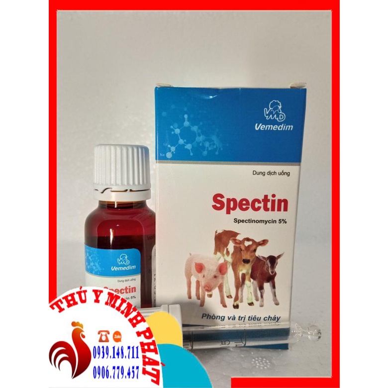 WMD SPECTIN chai 20ml tiêu chảy trên heo con