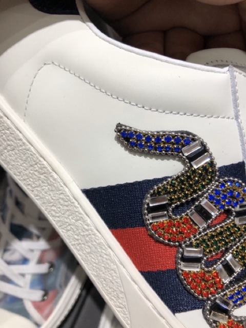 Giày rắn đính đá cao cấp da thật+ảnh-video chi tiết fullpkien