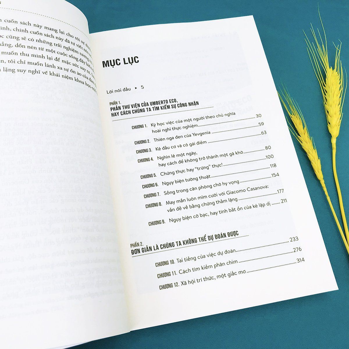 Sách - Thiên Nga Đen - Xác Suất Cực Nhỏ, Tác Động Cực Lớn - Thanh Hà Books | BigBuy360 - bigbuy360.vn