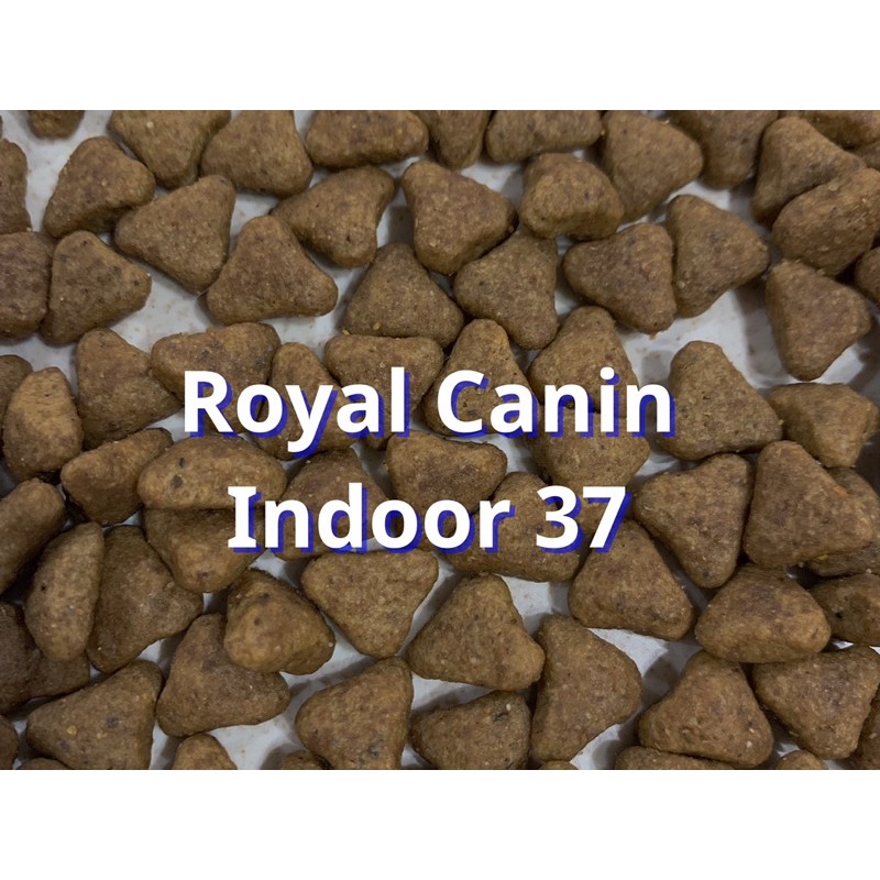 Hạt thức ăn ROYAL CANIN Indoor 27 CHO MÈO TRƯỞNG THÀNH