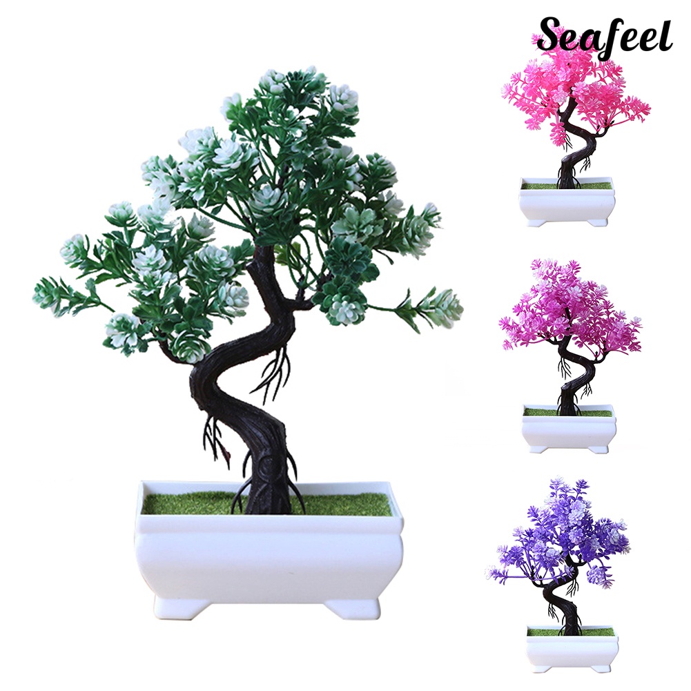 Chậu Cây Bonsai Giả Trang Trí Bàn
