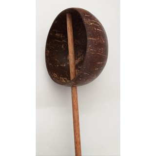 GÁO DỪA MÚC NƯỚC