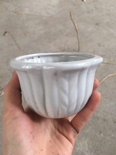 Chậu miệng hoa mini trồng sen đá