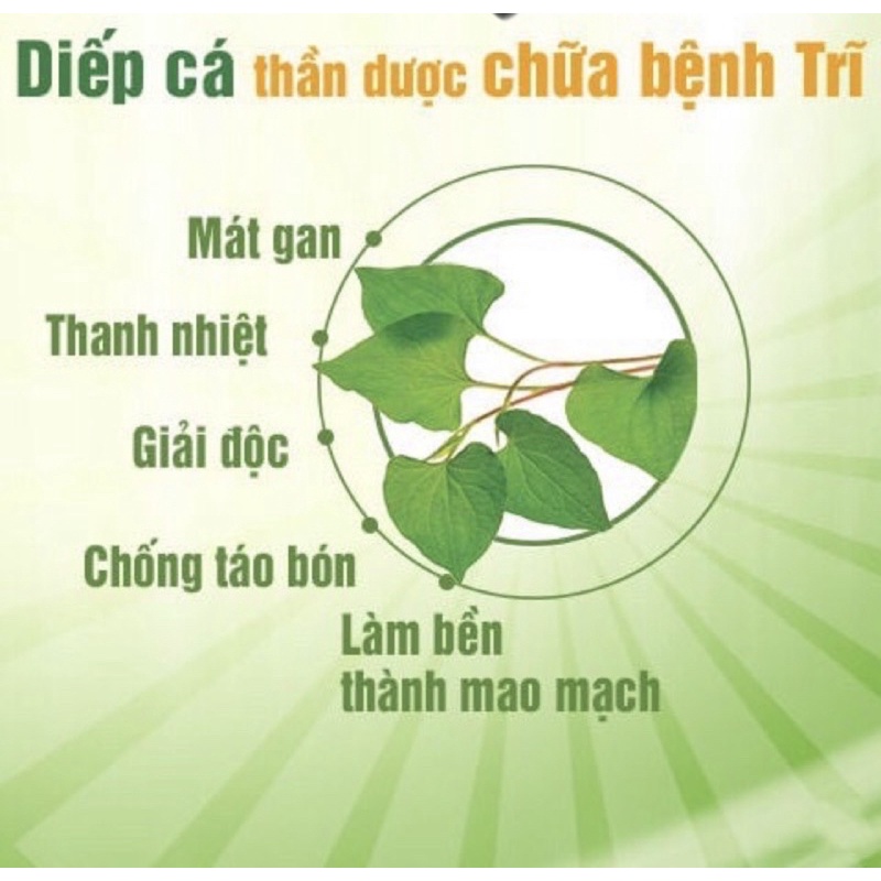 [HCM] Bột diếp cá sấy lạnh nguyên chất