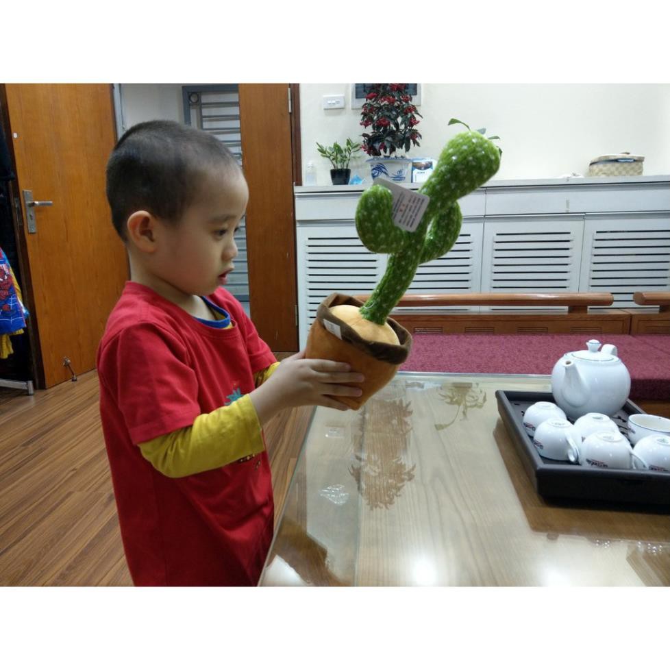 Cây Xương Rồng Khiêu Vũ Nhảy Múa Phát Ra Âm Thanh Vui Nhộn, thu âm nhại tiếng nói
