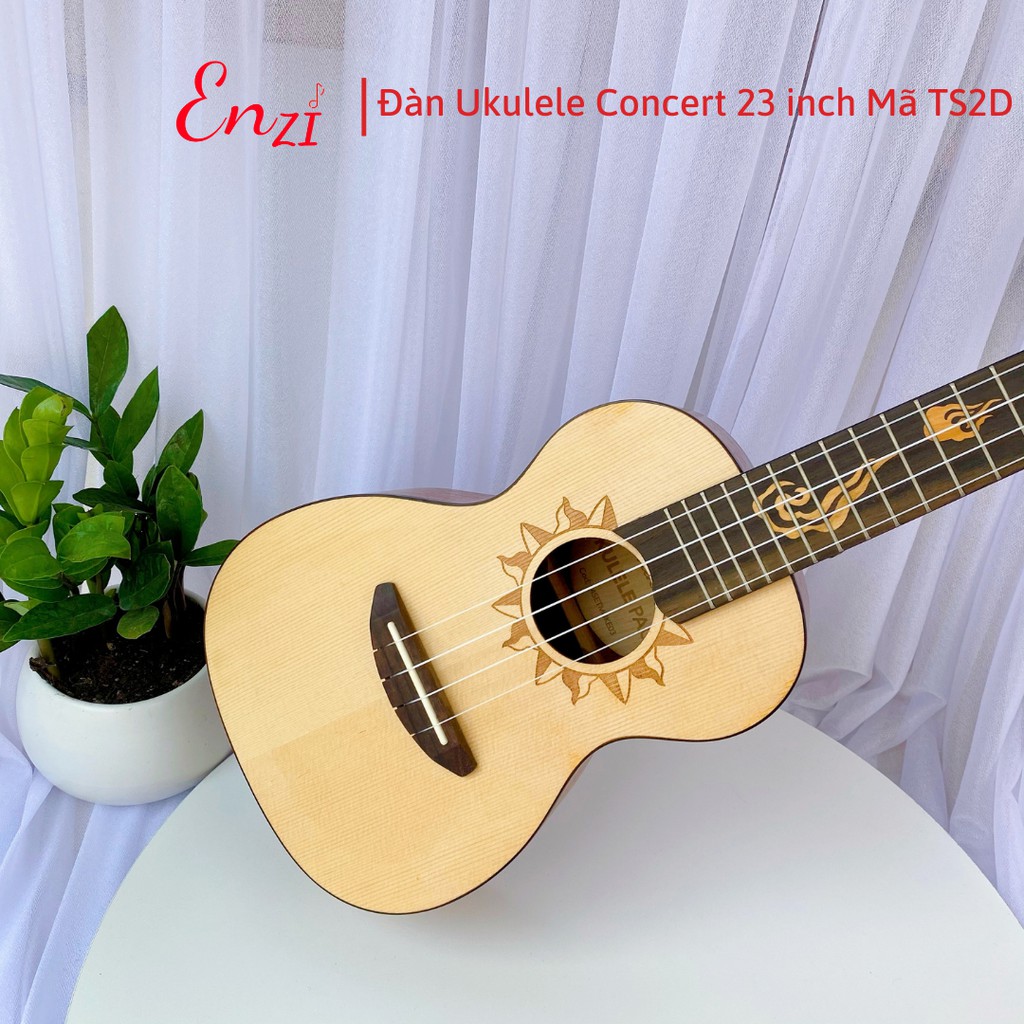 Đàn ukulele concert mã C19T Enzi 21 inch gỗ mộc trơn giá rẻ cho bạn mới bắt đầu tập chơi