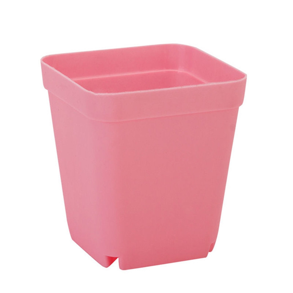 10 Chậu Cây Cảnh Bằng Nhựa Hình Vuông Màu Sắc Ngẫu Nhiên