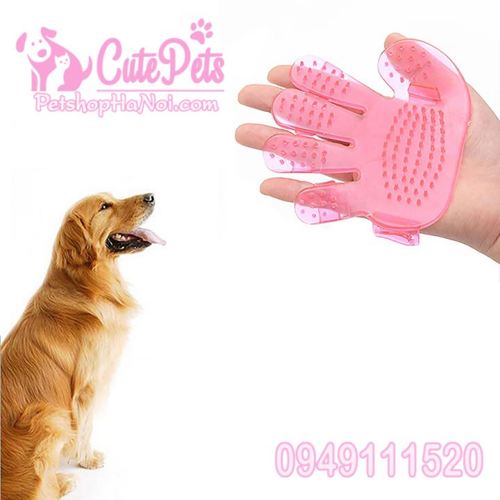 Găng tay tắm cho thú cưng, Bàn tay nhựa - CutePet Phụ kiện chó mèo pet shop Hà Nội