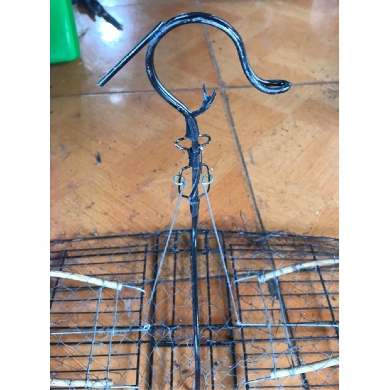 Bẫy giả chim chào mào