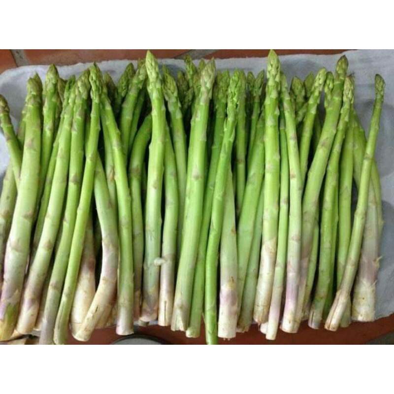 50H _# Hạt _giống _măng_ tây