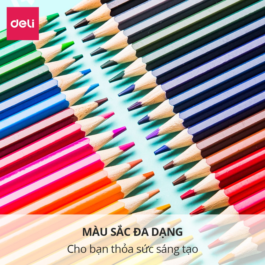 Bút chì màu chuyên nghiệp dạng cốc Deli 24/36/48 màu - 68123/68124/68125