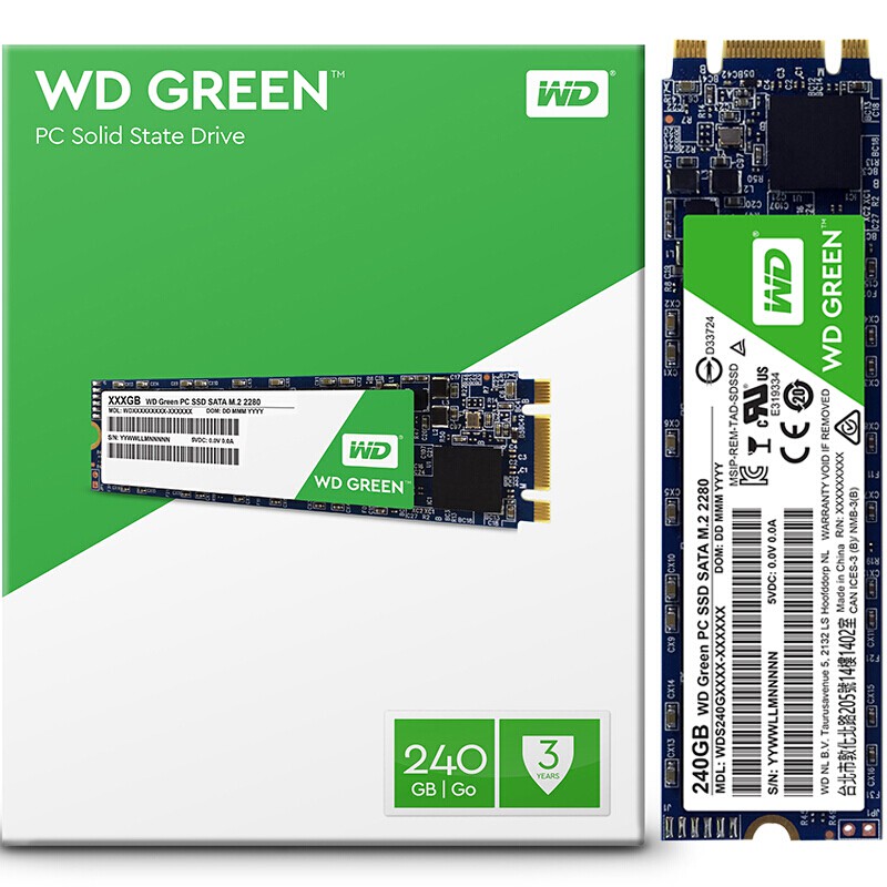 SSD WD Green 240gb M2 Sata 2280 WDS240G1G0B - Bảo Hành Chính Hãng 36 Tháng