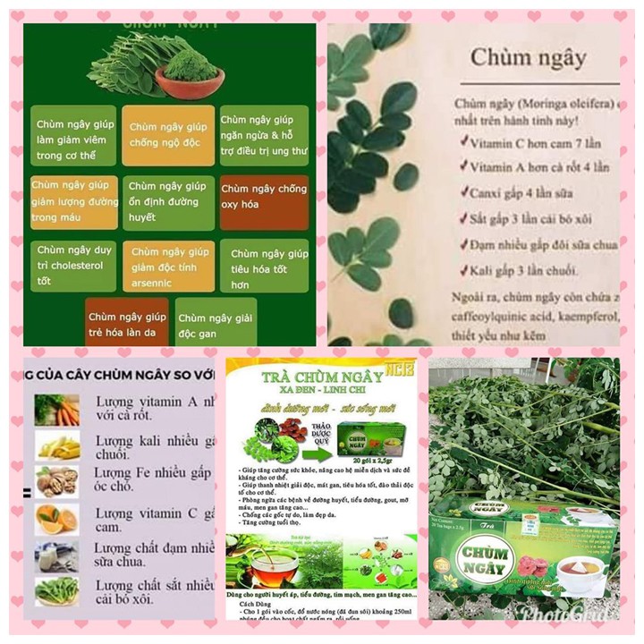 Trà chùm ngây 🌿 TỰ NHIÊN 🌿 Trà túi lọc chùm ngây - kết hợp xạ đen, linh chi -làm đẹp từ bên trong cơ thể | BigBuy360 - bigbuy360.vn