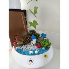 Nhà châu âu làm Phụ Kiện Tiểu Cảnh Trang Trí Chậu Cây, Sen Đá, terrarium, charm slime